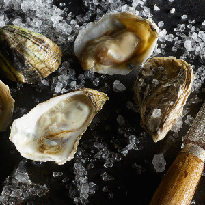 Raw Oysters and Knife